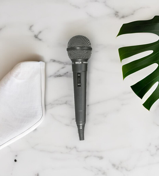 Aud-54 Ahuja PA Wired Microphone