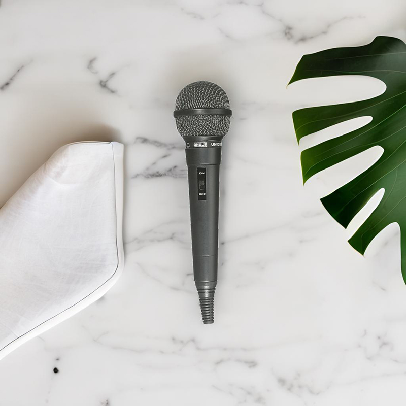 Aud-54 Ahuja PA Wired Microphone