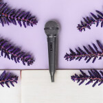 Aud-54 Ahuja PA Wired Microphone