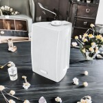 Ahuja PS-300TM 2-Way Wall Mount Speaker