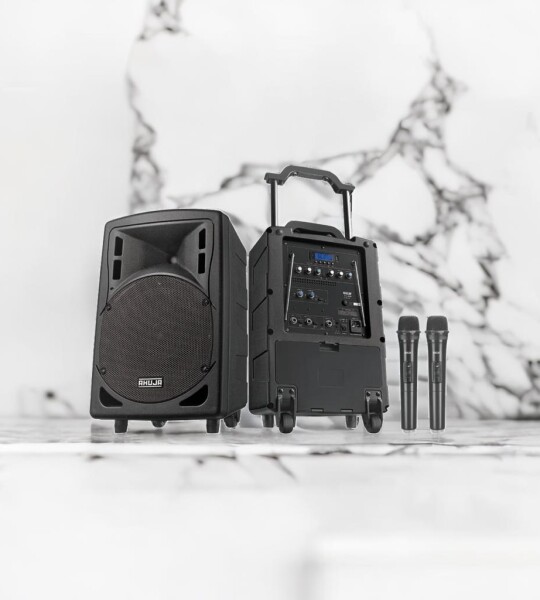 Ahuja BTA-660M Wireless Bluetooth Portable Speaker