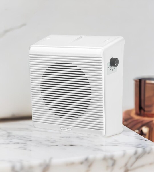 Ahuja WSX-684T Wall Mount Speaker
