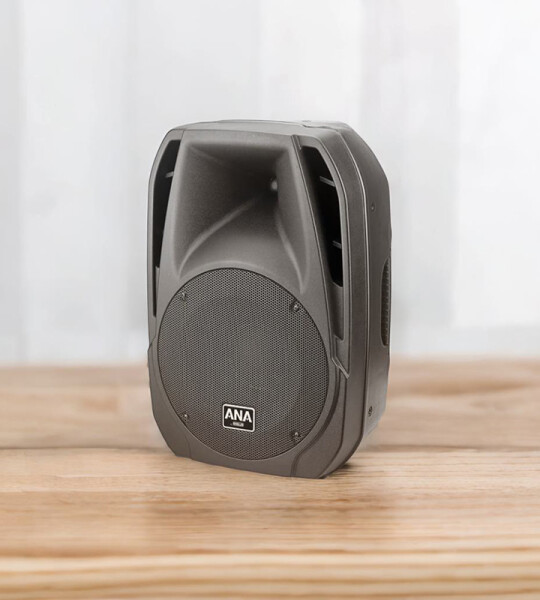 Portable PA Active Speaker