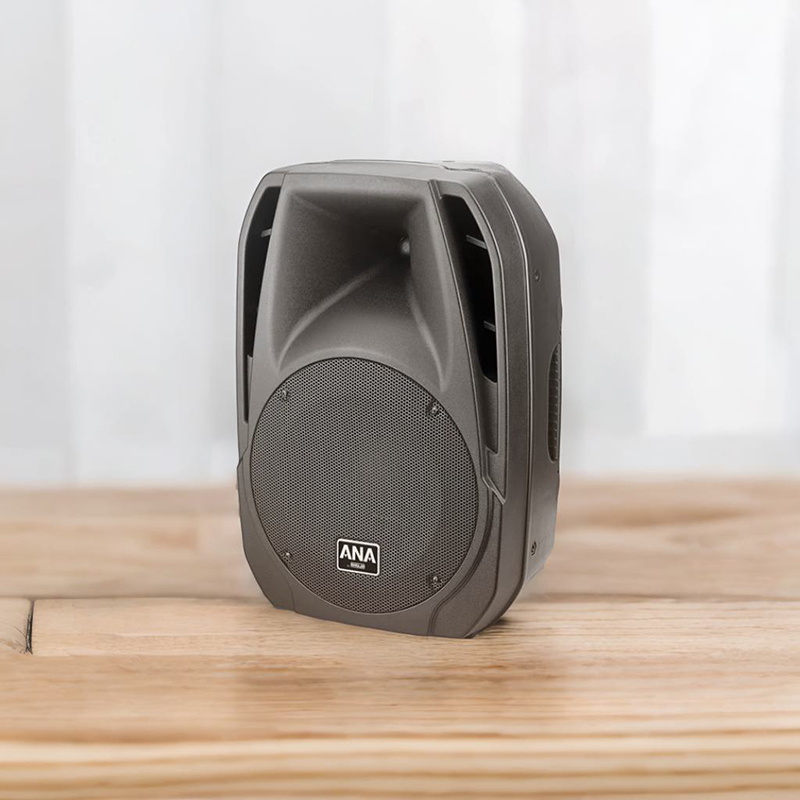 Portable PA Active Speaker
