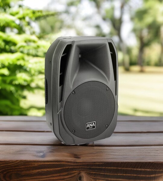 Portable PA Active Speaker