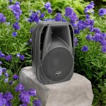 Portable PA Active Speaker